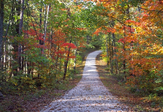 Old Auxier Ridge Road